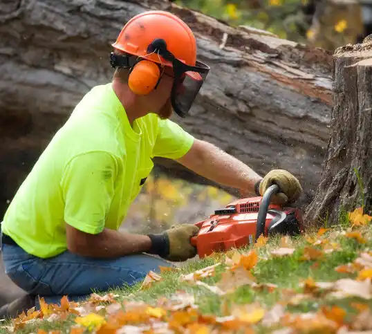 tree services Bordelonville